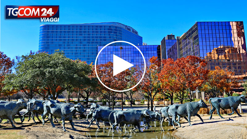 DALLAS, THANKSGIVING DAY