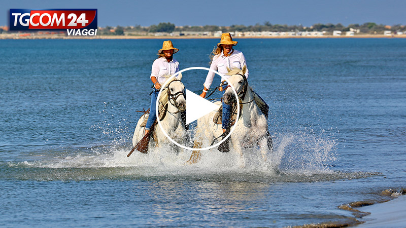 DONNAVVENTURA AT CAMARGUE