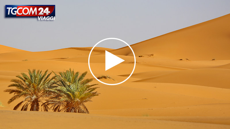 MOROCCO, SAHARA DESERT