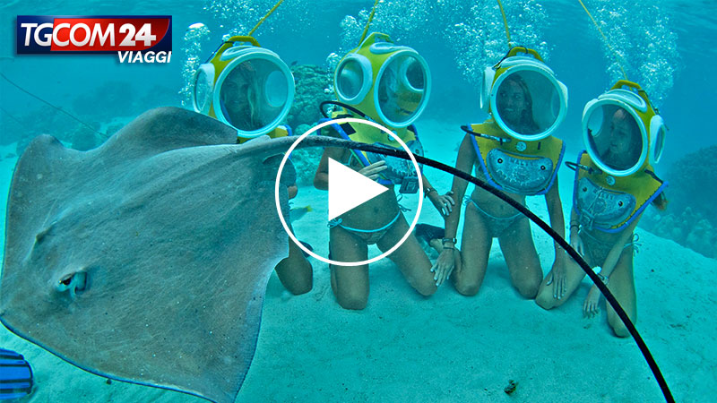 UNDERWATER TREKKING IN FRENCH POLYNESIA