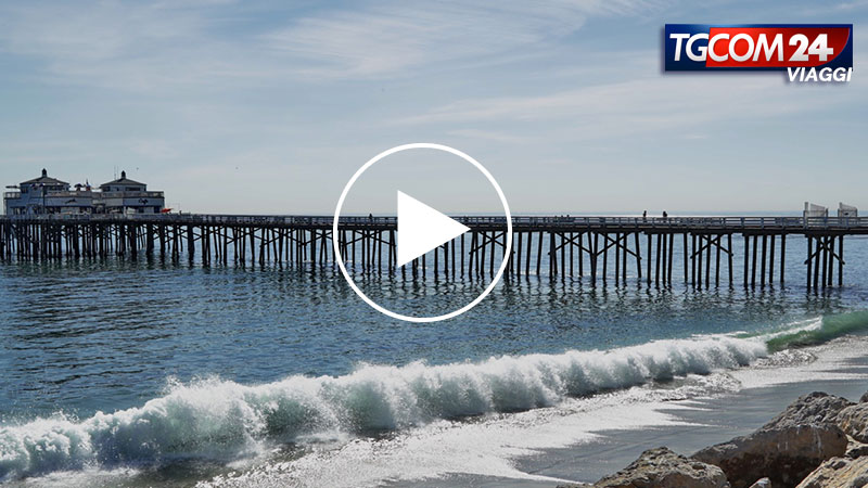 THE SWEET MALIBU' LIFE