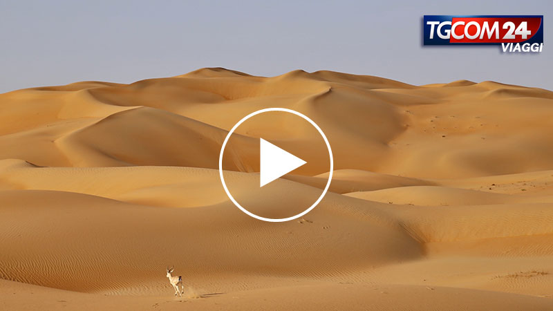ABU DHABI'S DESERT