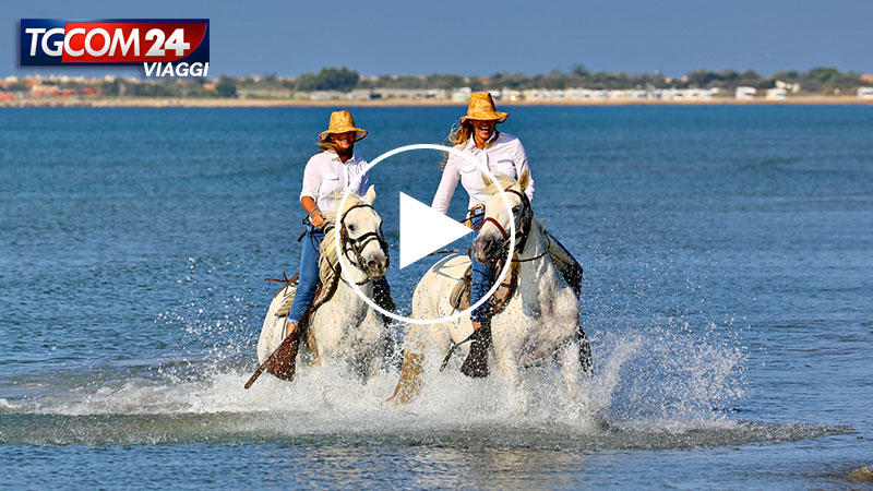 CAMARGUE