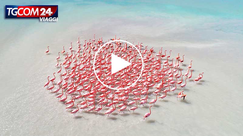 Preview episode 8: from British Virgin Islands to Aruba
