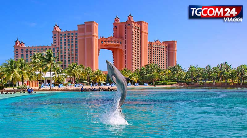 Bahamas: the clearest water on the planet.