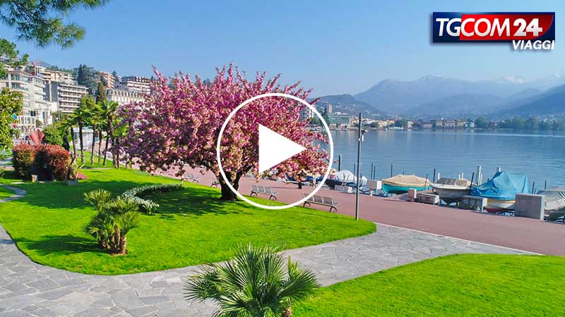 Switzerland: Ticino cuisine