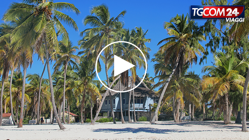 The tropical paradise of the island of Saona
