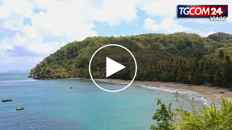 Tgcom Grenada - The spice island